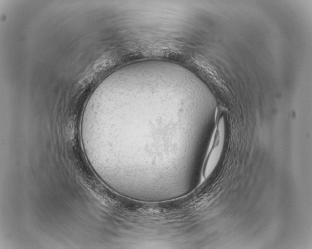 X0000087390687200705111801