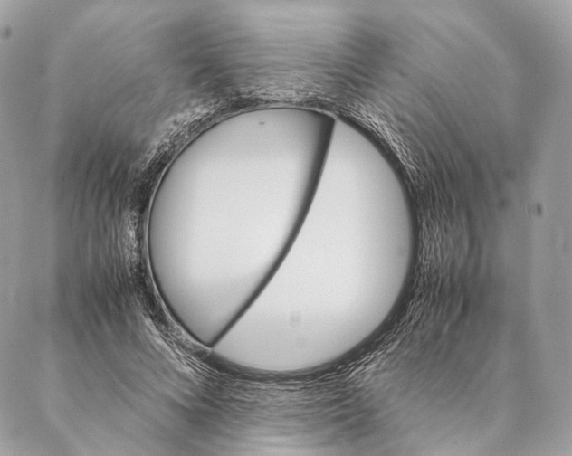 X0000087390688200705111801