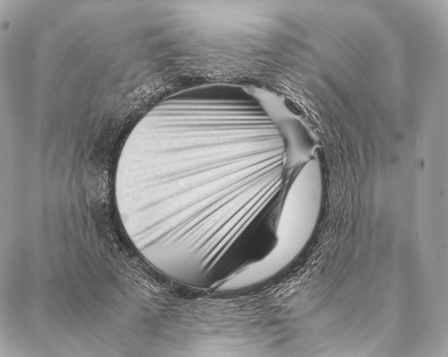 X0000087390689200705111801