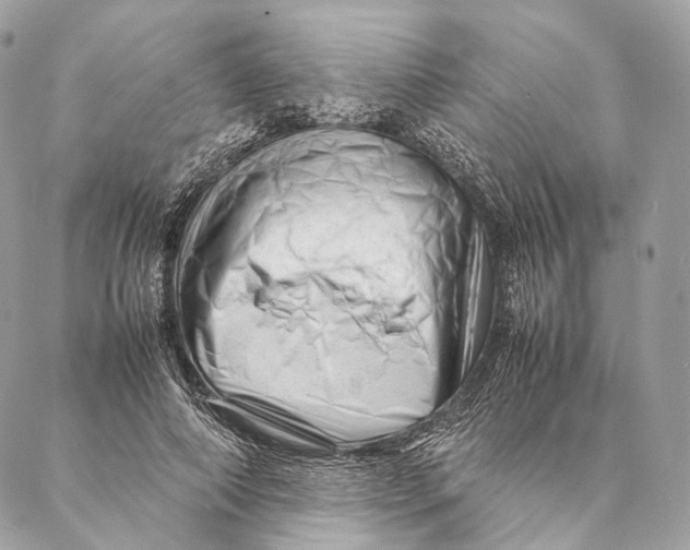 X0000087390690200705111801