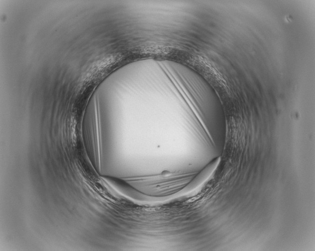 X0000087390692200705111801