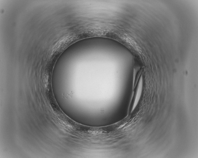 X0000087390693200705111801