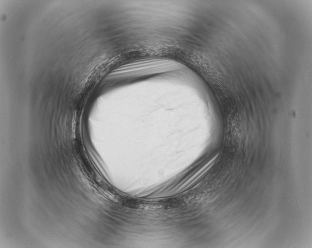 X0000087390694200705111801