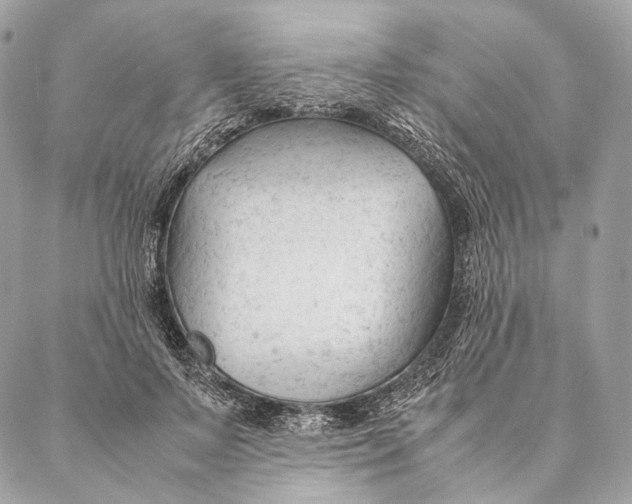 X0000087390695200705111801