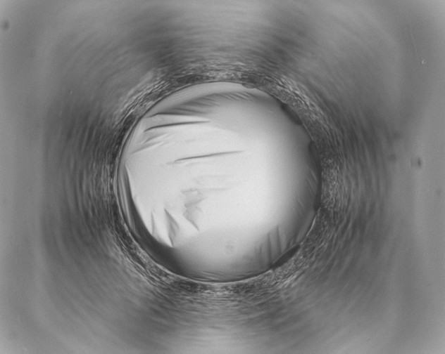 X0000087390696200705111801