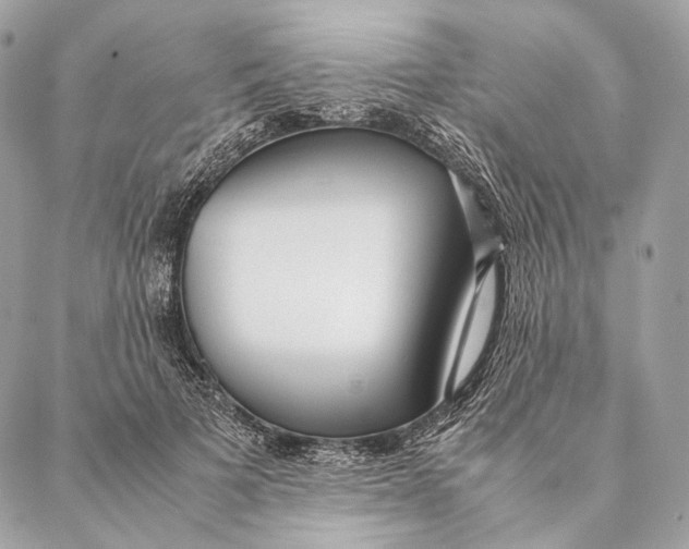 X0000087390697200705111801