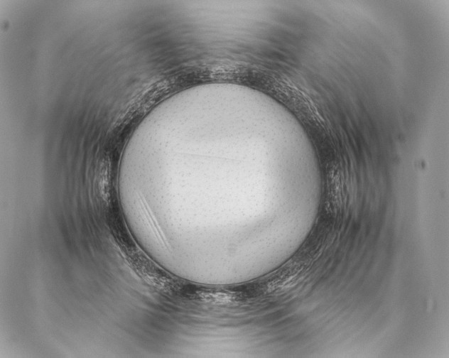 X0000087390698200705111801