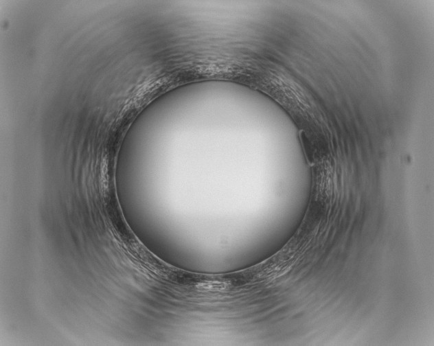 X0000087390700200705111801