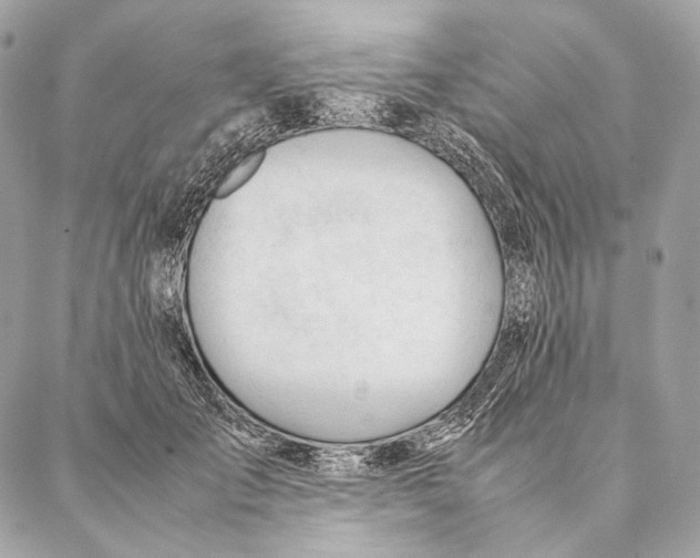 X0000087390701200705111801