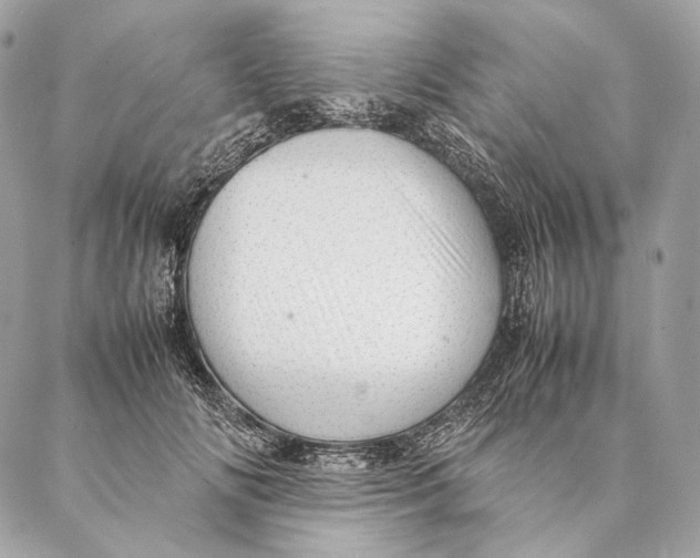 X0000087390702200705111801