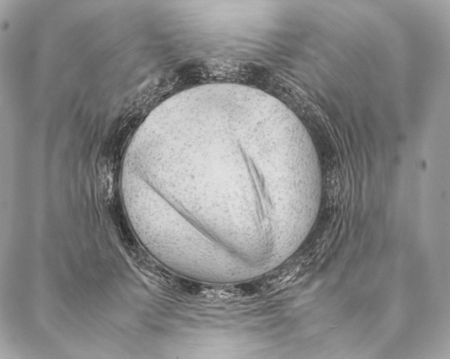 X0000087390703200705111801