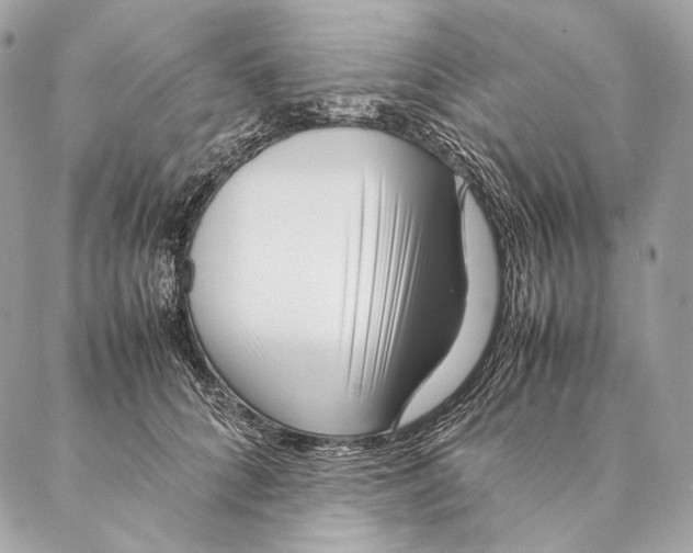 X0000087390704200705111801