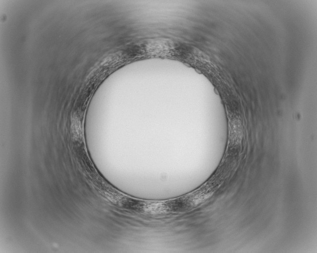 X0000087390705200705111801