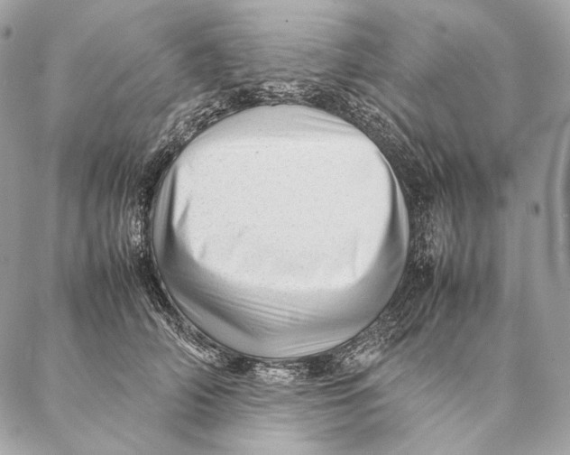 X0000087390706200705111801