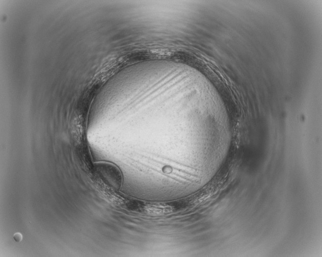 X0000087390707200705111801