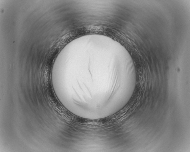 X0000087390708200705111801