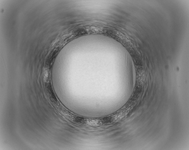 X0000087390709200705111801