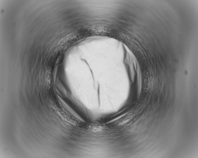 X0000087390710200705111801