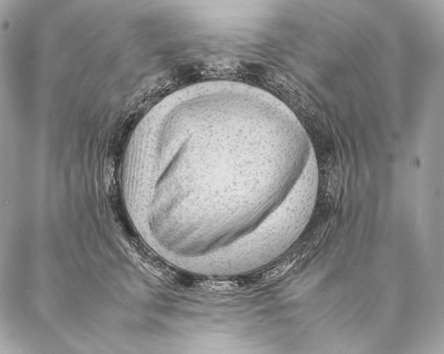 X0000087390711200705111801