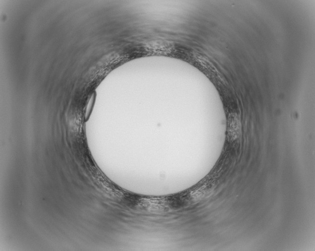 X0000087390713200705111801