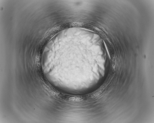 X0000087390714200705111801