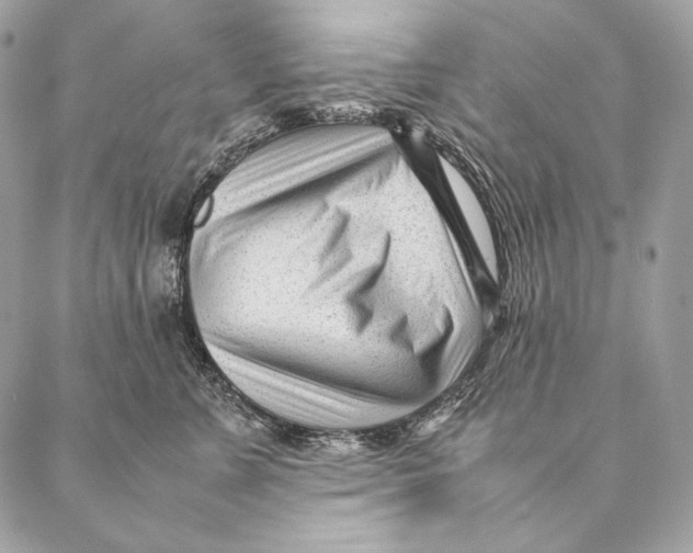 X0000087390715200705111800