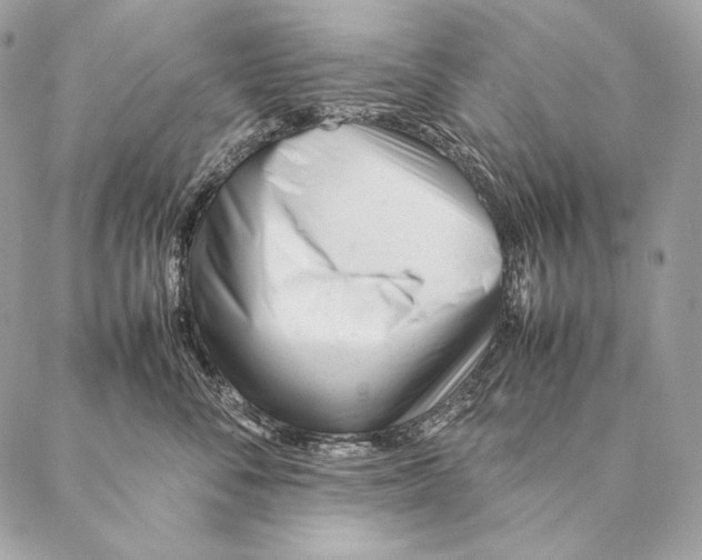 X0000087390716200705111800