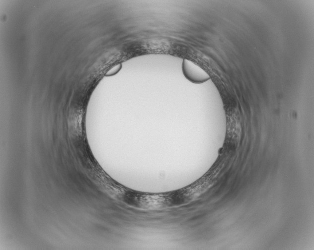 X0000087390717200705111800