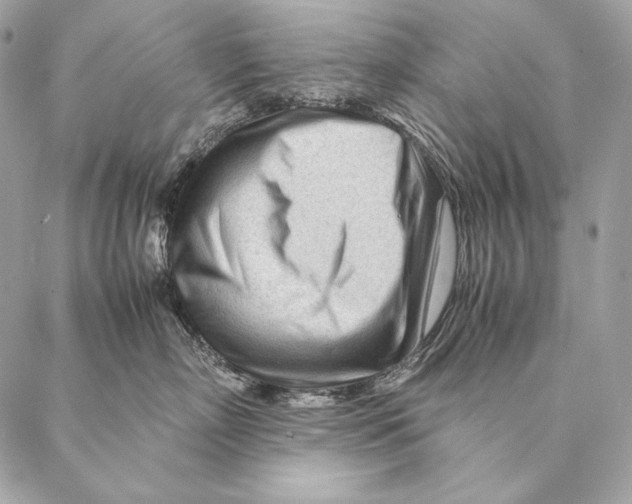 X0000087390718200705111800