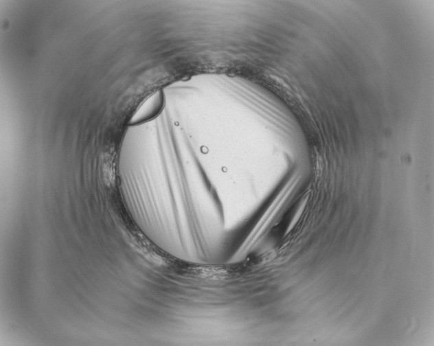 X0000087390719200705111800