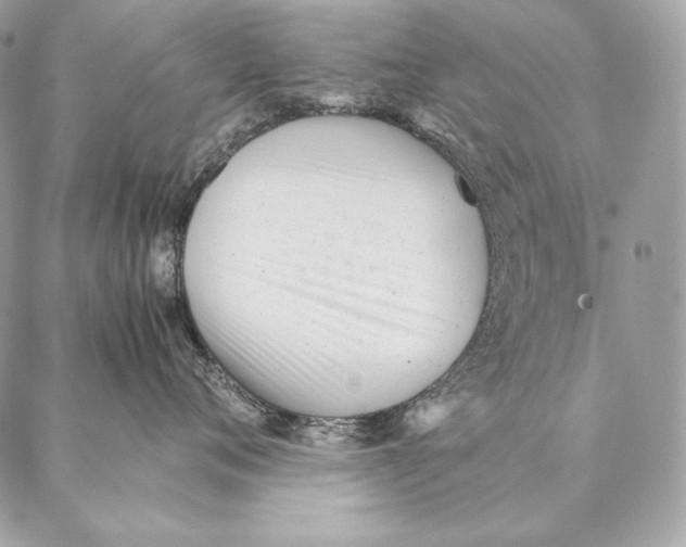 X0000087390720200705111800