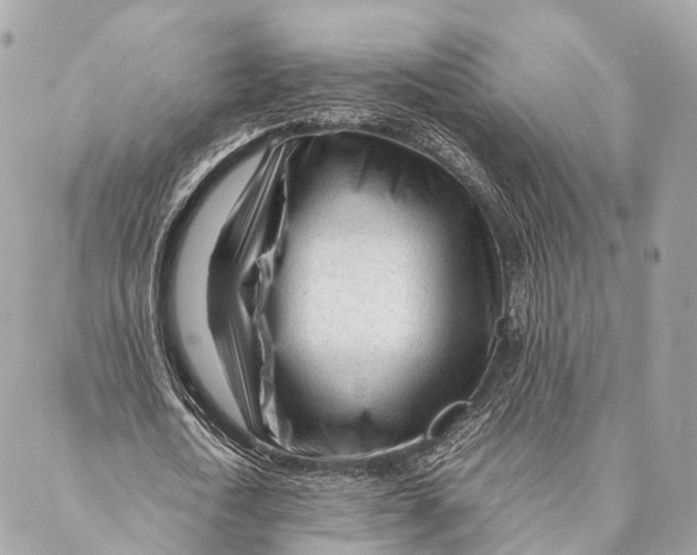 X0000087390722200705111800