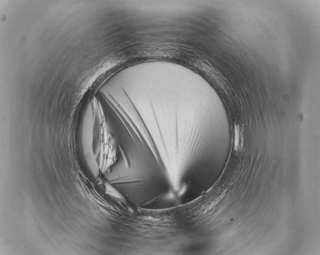 X0000087390723200705111800