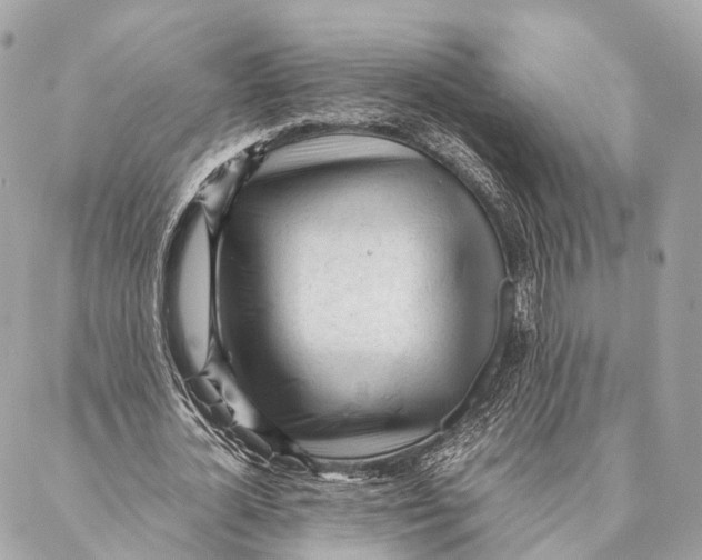 X0000087390724200705111800