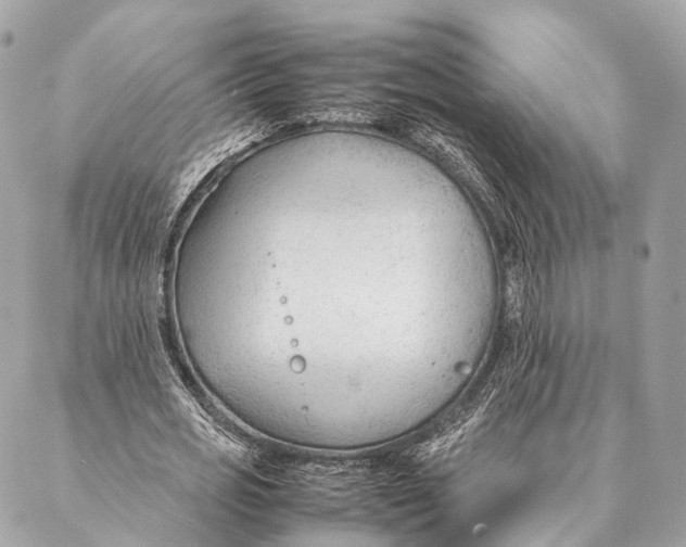 X0000087390725200705111800