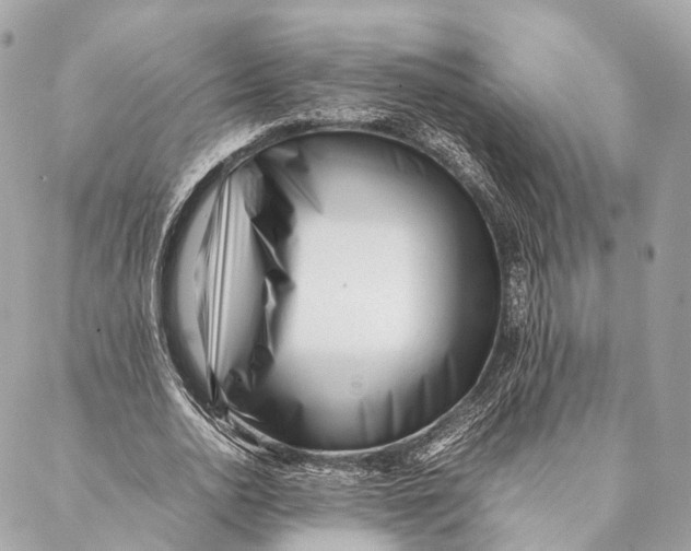 X0000087390726200705111800