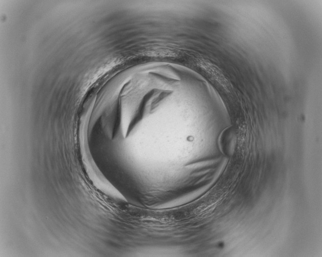 X0000087390727200705111800