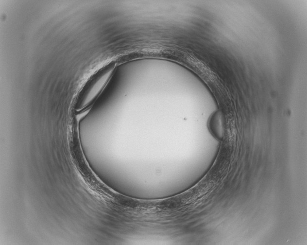 X0000087390728200705111800