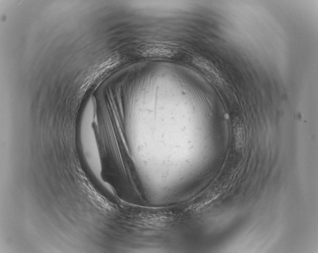 X0000087390729200705111800