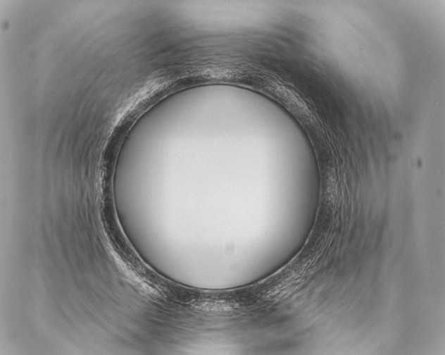 X0000087390730200705111800