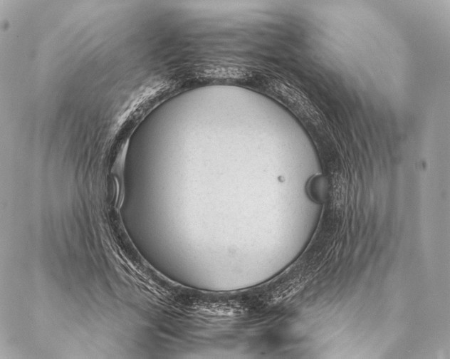 X0000087390731200705111800