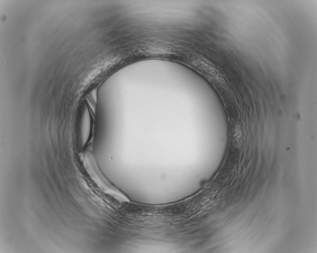 X0000087390732200705111800