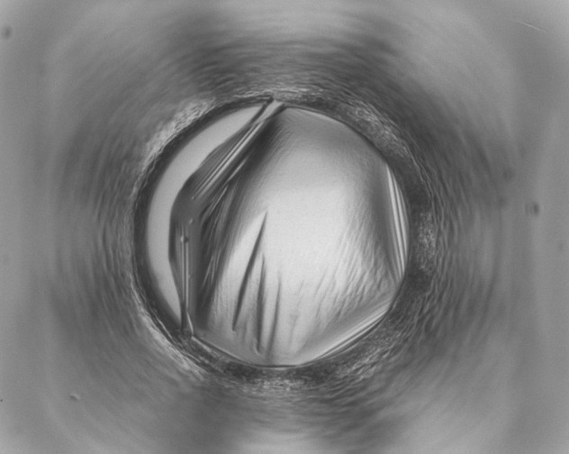 X0000087390734200705111800