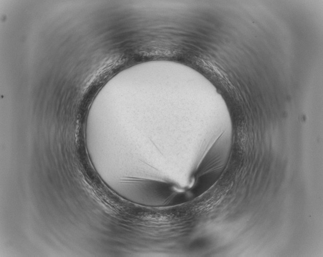 X0000087390735200705111800