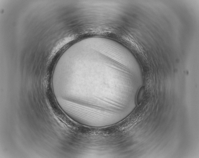 X0000087390736200705111800