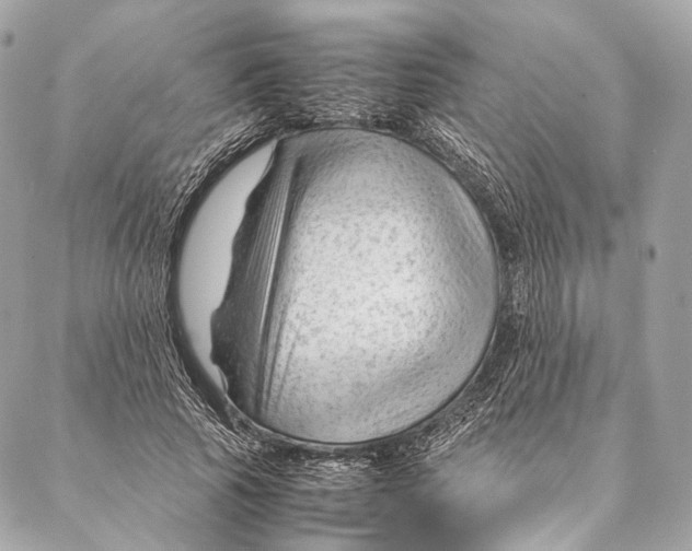 X0000087390737200705111800