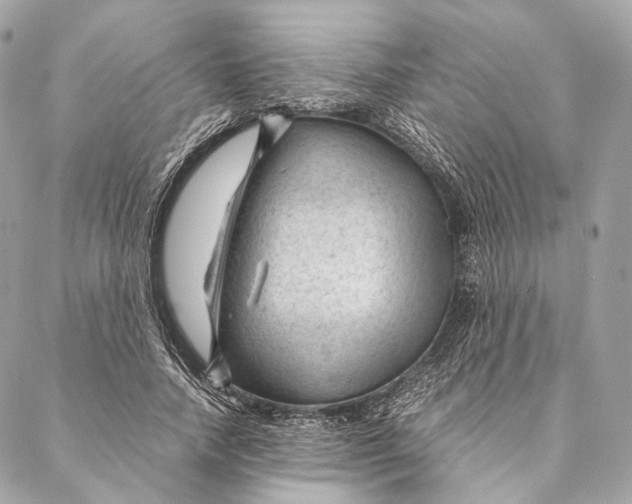 X0000087390738200705111800