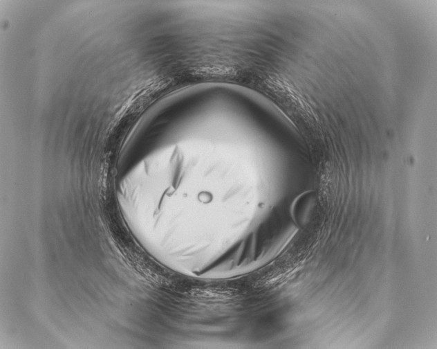 X0000087390739200705111800