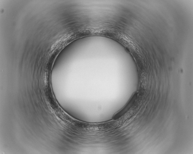 X0000087390740200705111800