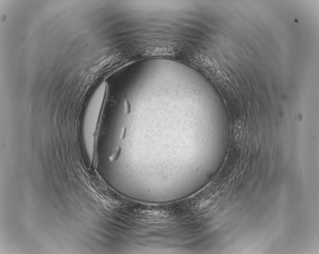 X0000087390741200705111800